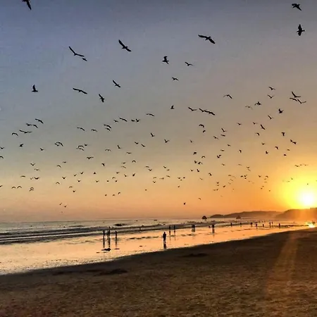 Algarve Mor 3 Portimão